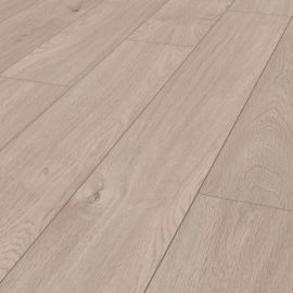 OAK VIOLETA